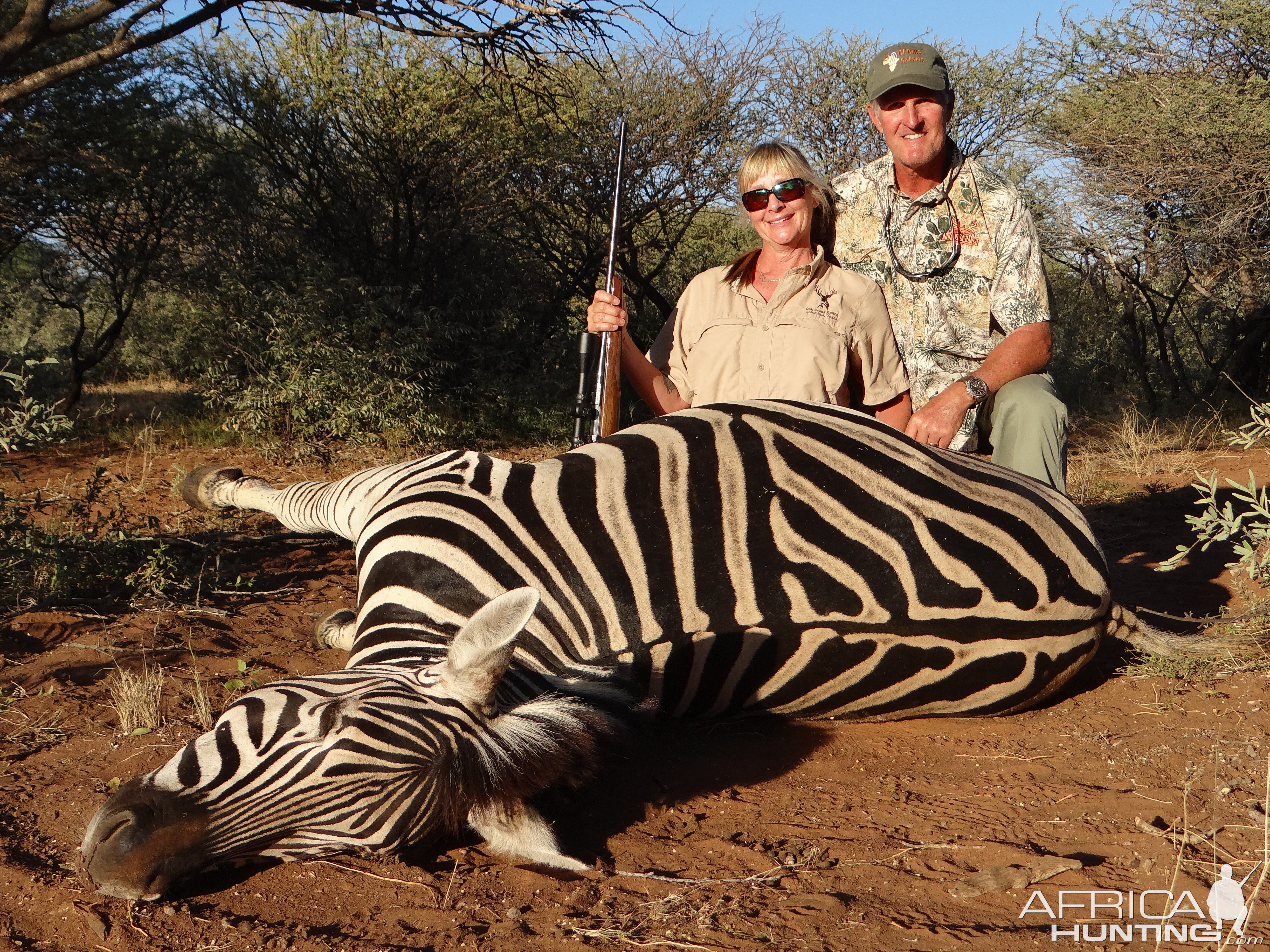 Hunt Zebra in South Africa