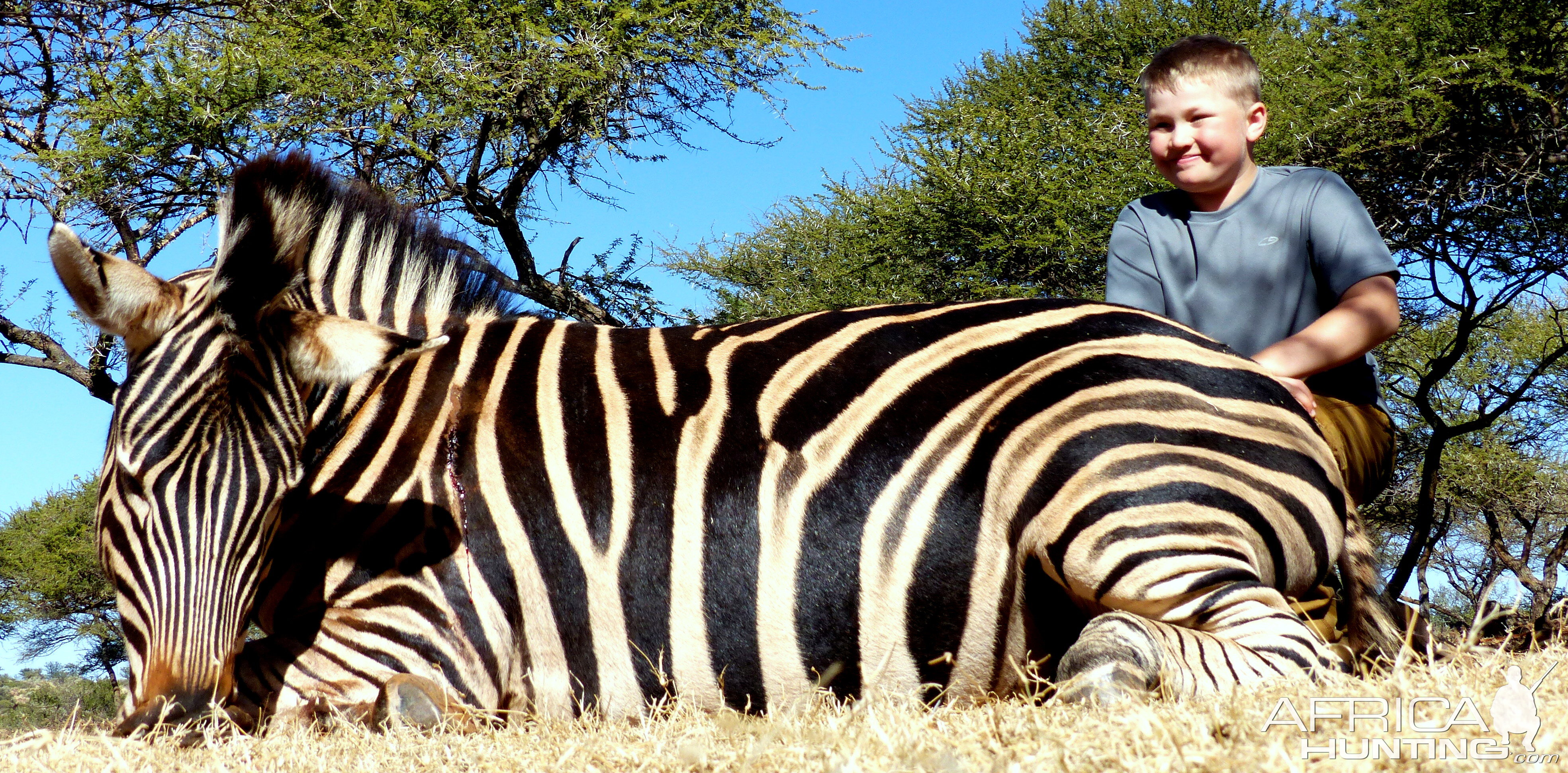 Hunt Zebra in South Africa