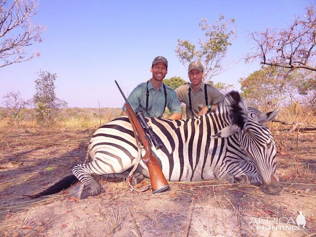 Hunt Zebra in Zimbabwe