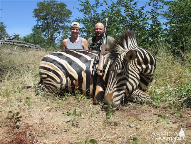 Hunt Zebra in Zimbabwe