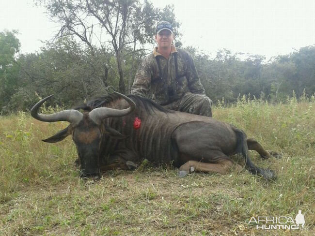 Hunt Zimbabwe Blue Wildebeest