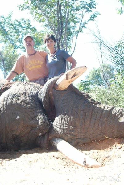 Hunt Zimbabwe Elephant