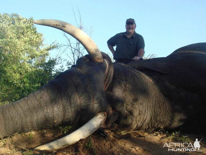 Hunt Zimbabwe Elephant