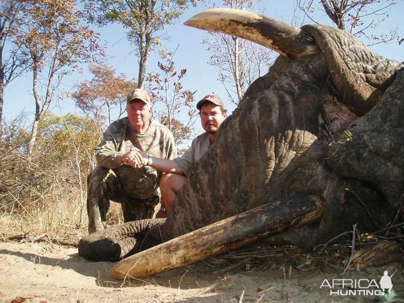 Hunt Zimbabwe Elephant