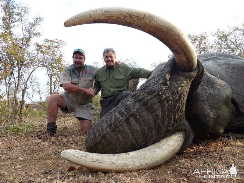 Hunt Zimbabwe Elephant