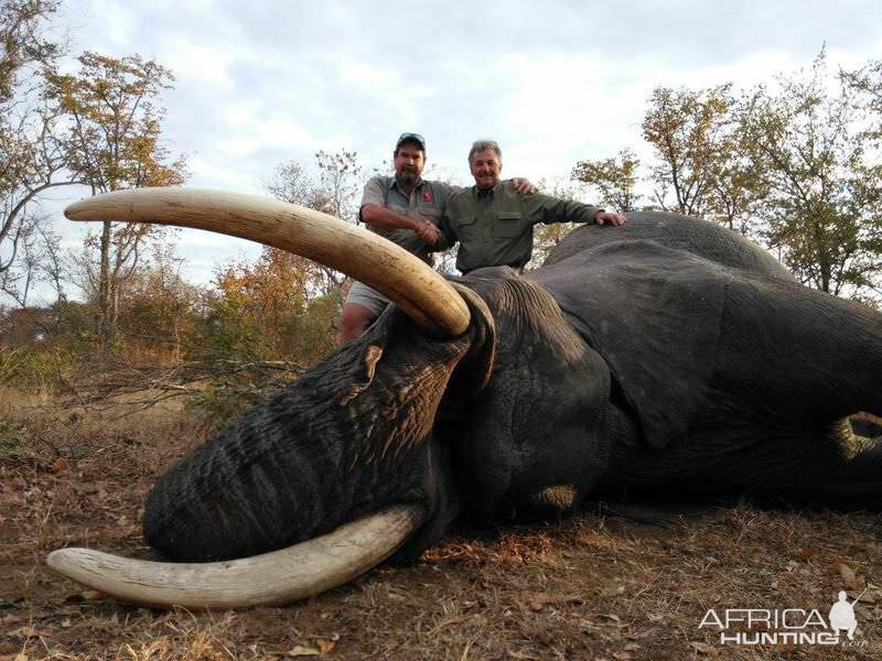 Hunt Zimbabwe Elephant