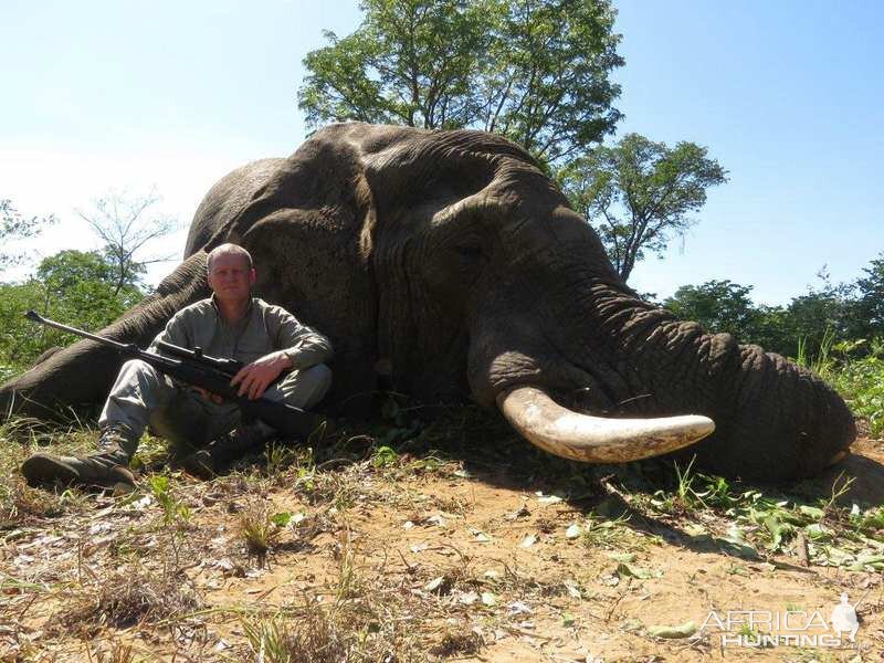 Hunt Zimbabwe Elephant