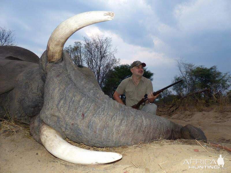 Hunt Zimbabwe Elephant