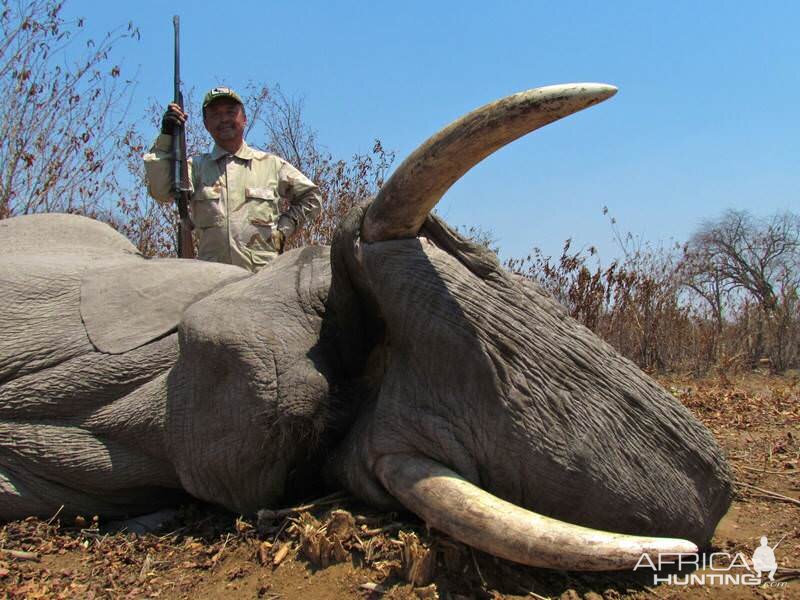 Hunt Zimbabwe Elephant