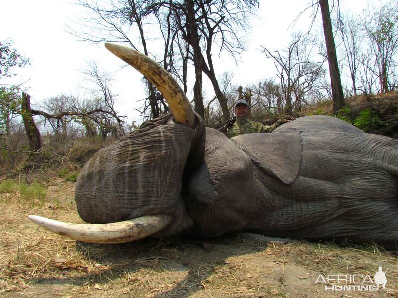 Hunt Zimbabwe Elephant