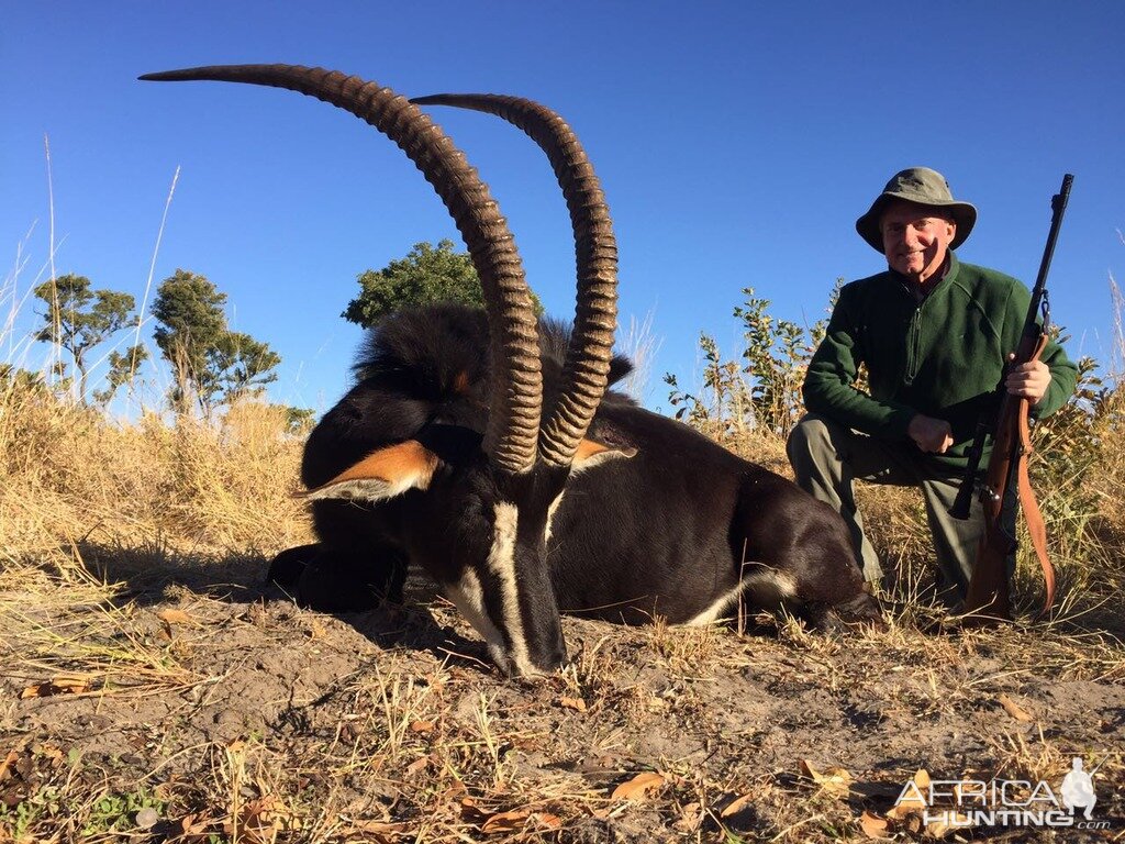 Hunt Zimbabwe Sable Antelope