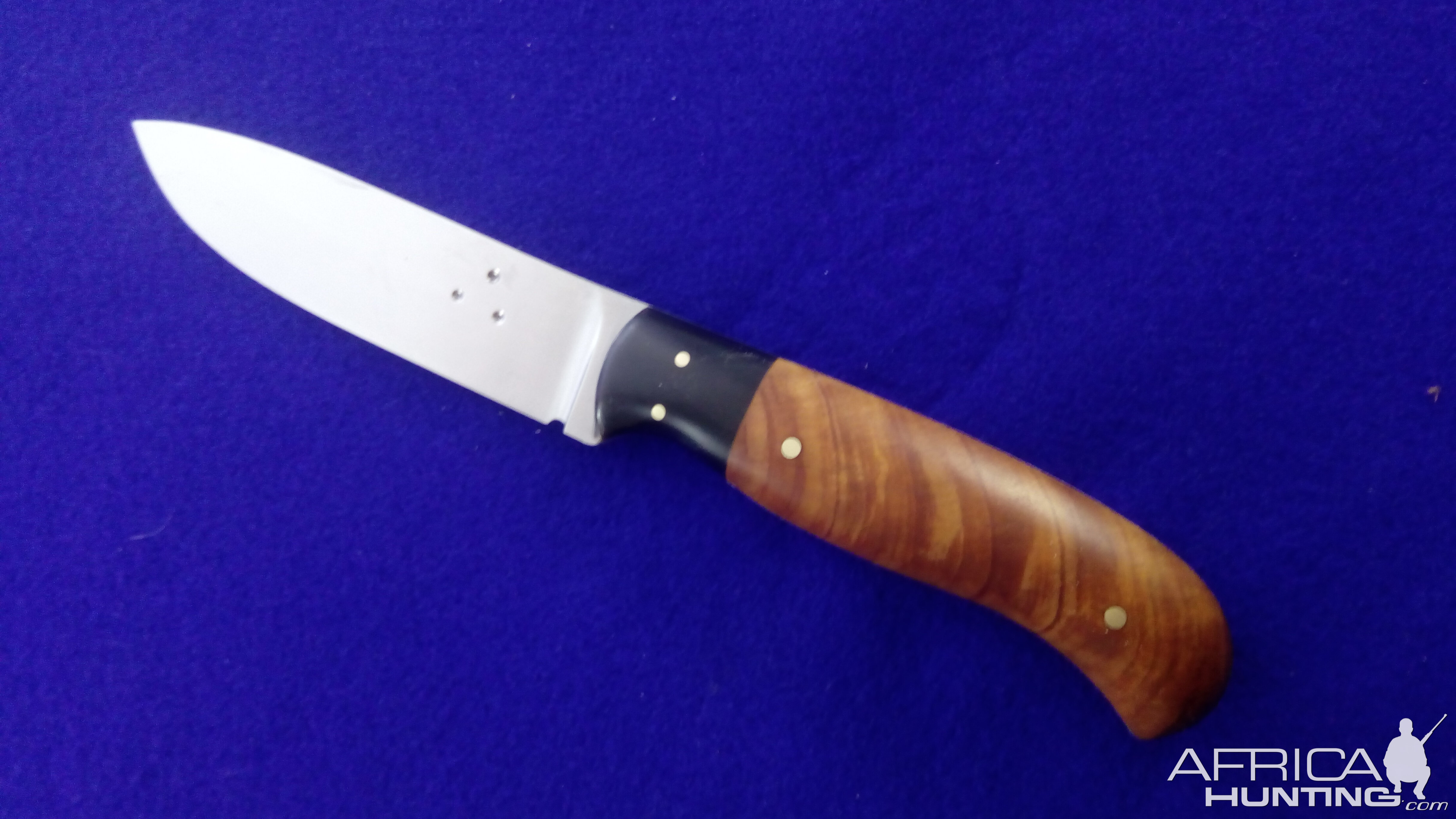 Hunter Skinner Knife with Macrocarpa over BuffaIo Horn