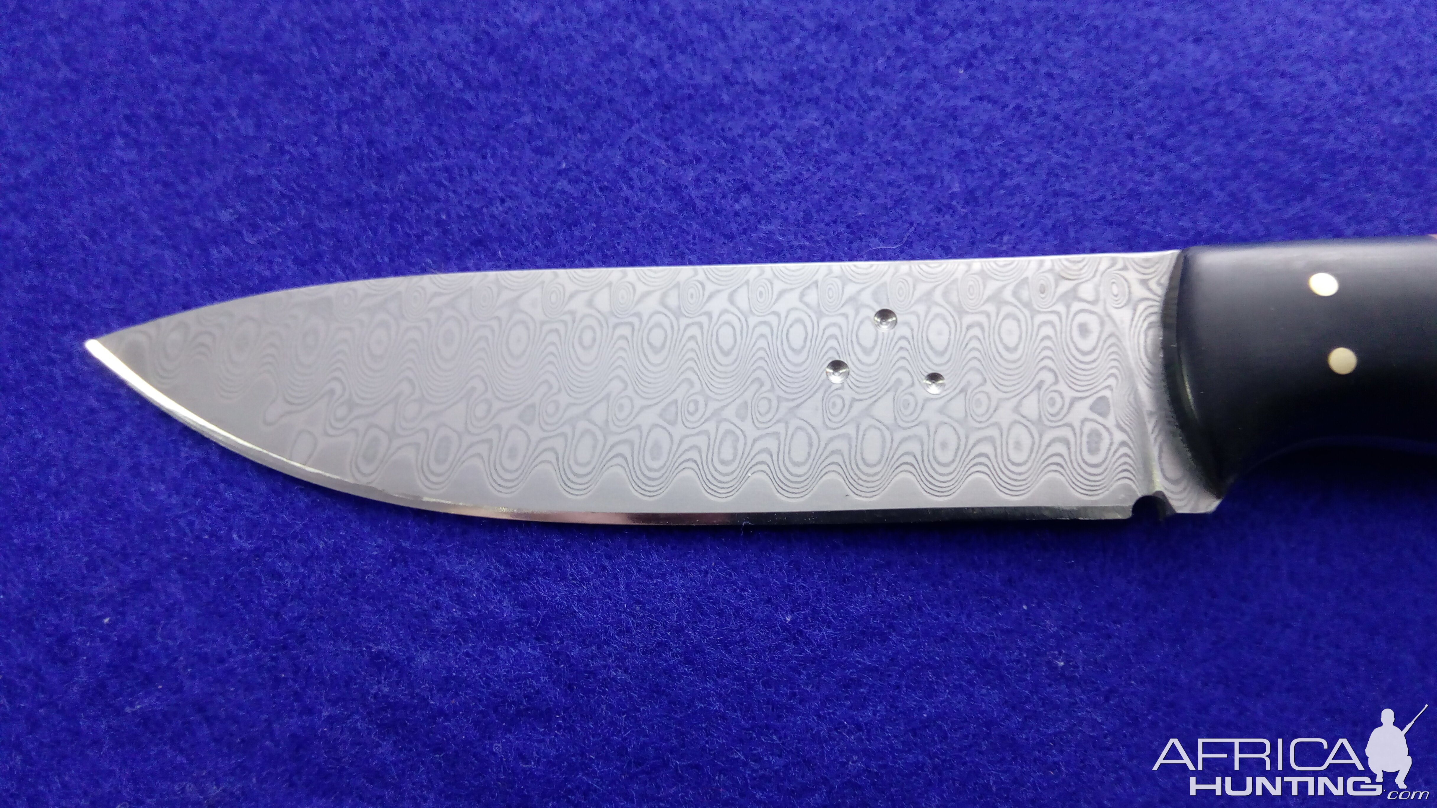 Hunter Skinner Knife