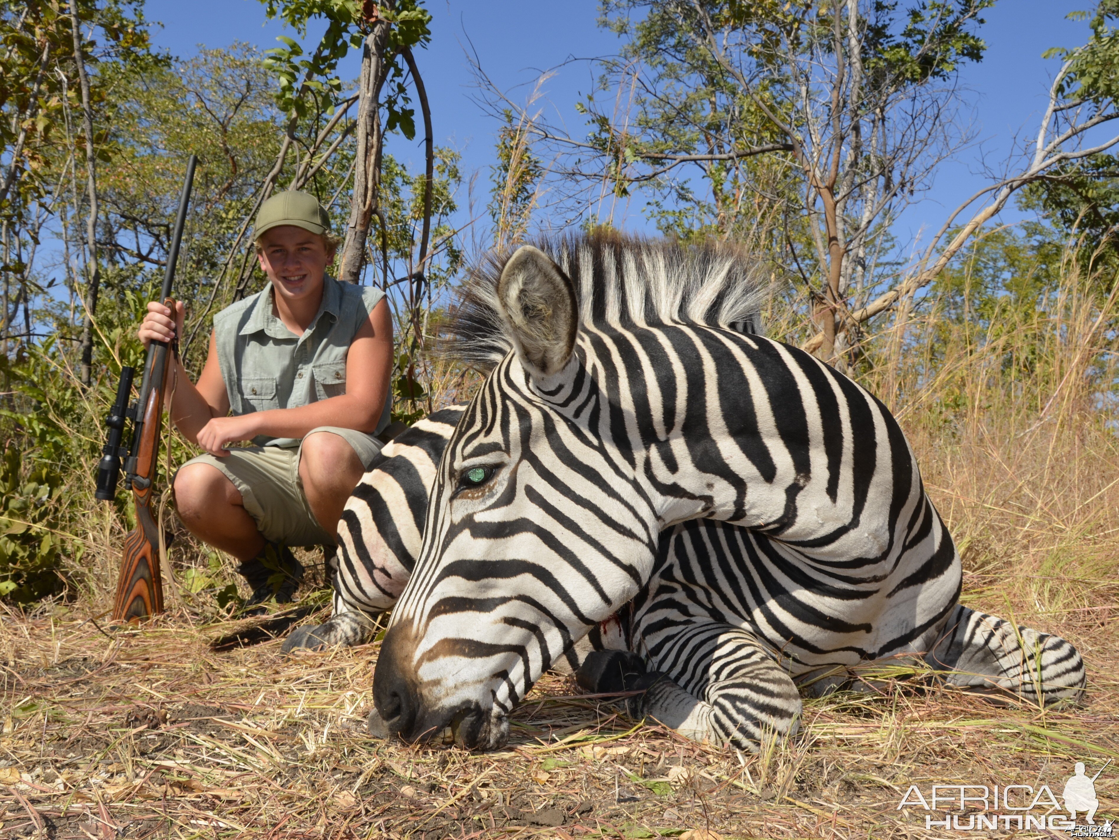 Hunter's Zebra