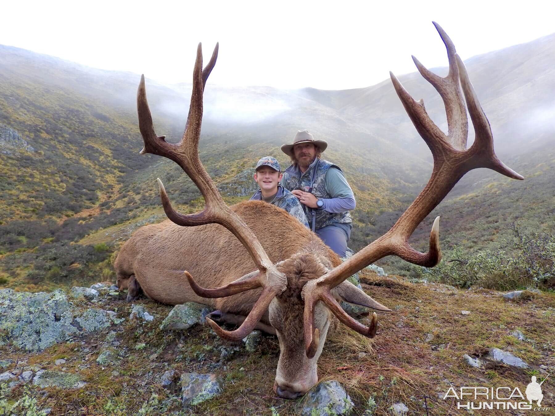 Hunting 340" Inch Red Stag in New Zealand