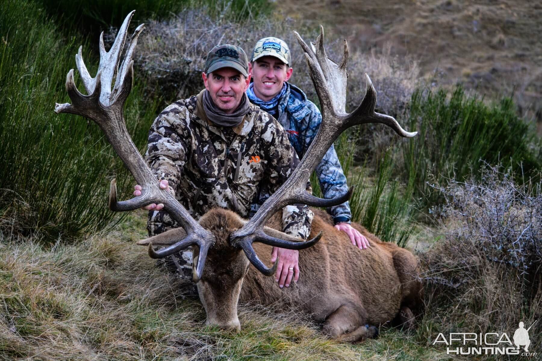 Hunting 368" Inch Red Stag in New Zealand