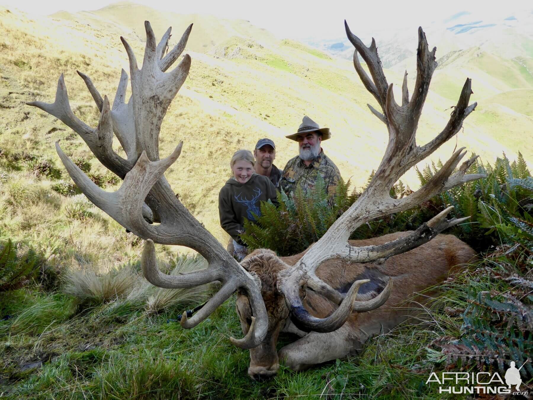 Hunting 608" Inch Red Stag in New Zealand