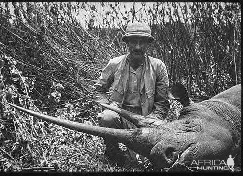 Hunting a Giant Black Rhino East Africa 1910