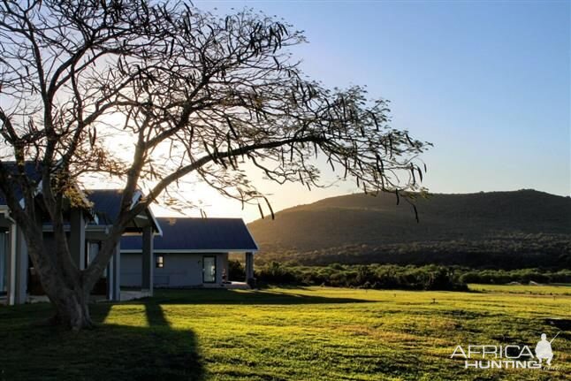 Hunting Accommodation Kudu Ridge Lodge