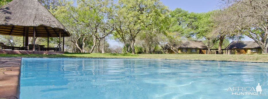 Hunting Accommodation Pro Hunting Safaris Giraffe Camp