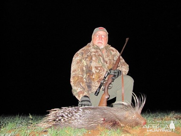 Hunting African Porcupine in South Africa