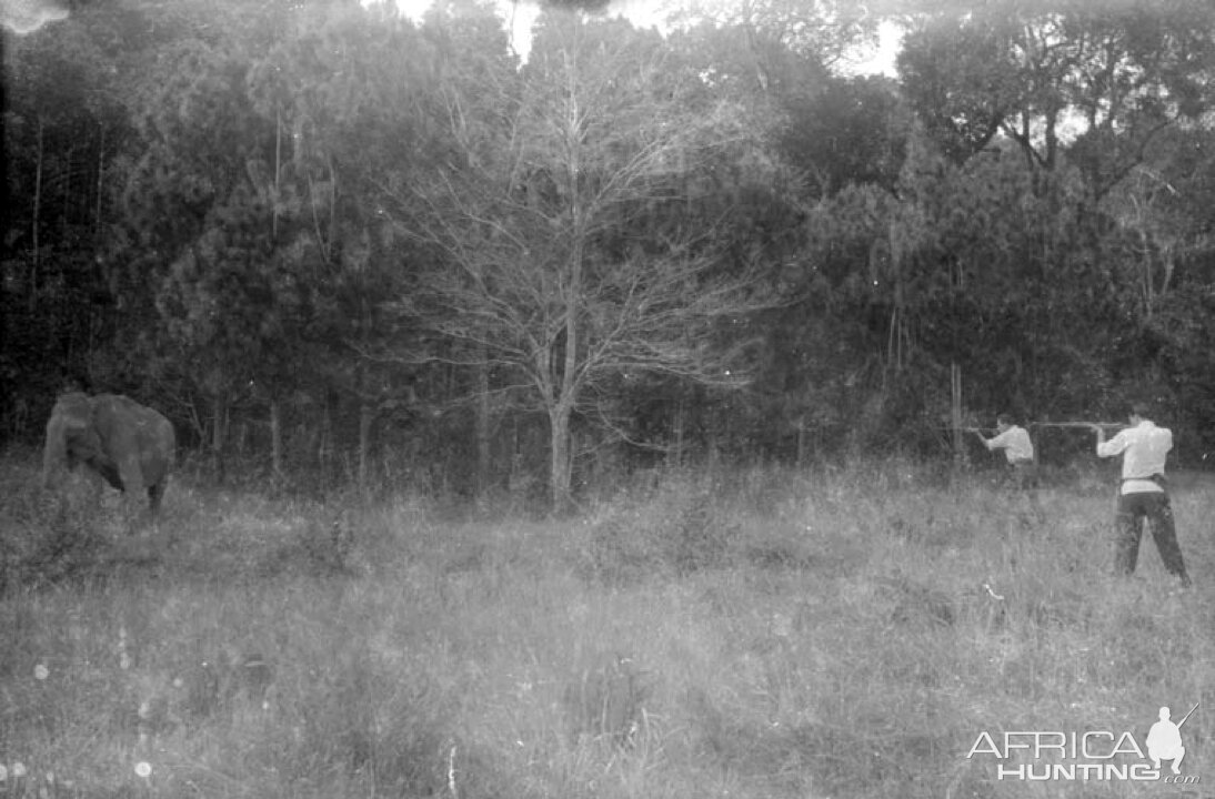 Hunting an Elephant Cambodia, 1946-1962