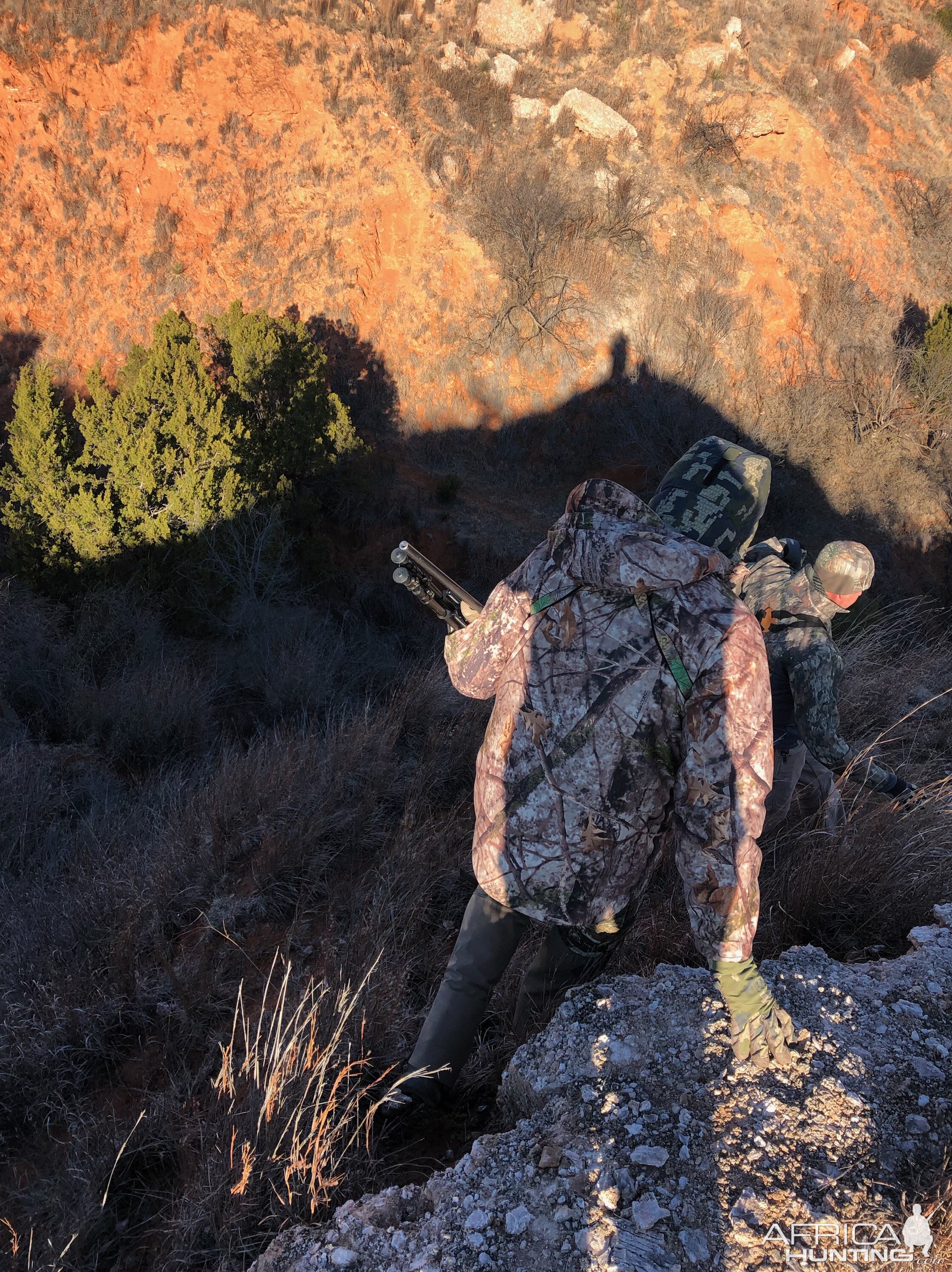 Hunting Aoudad in Texas USA