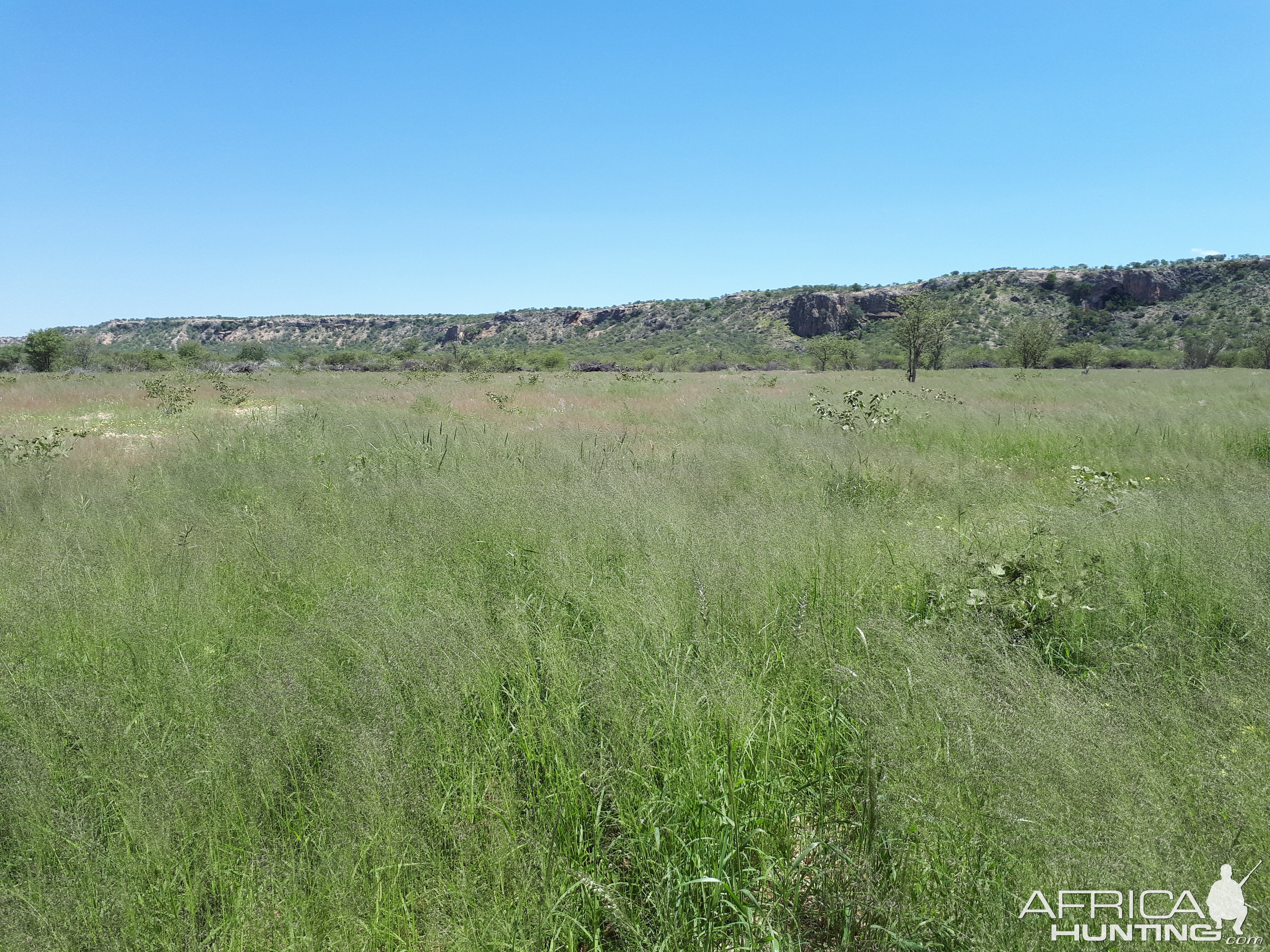 Hunting Area in Namibia