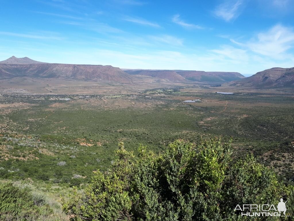 Hunting Area in South Africa