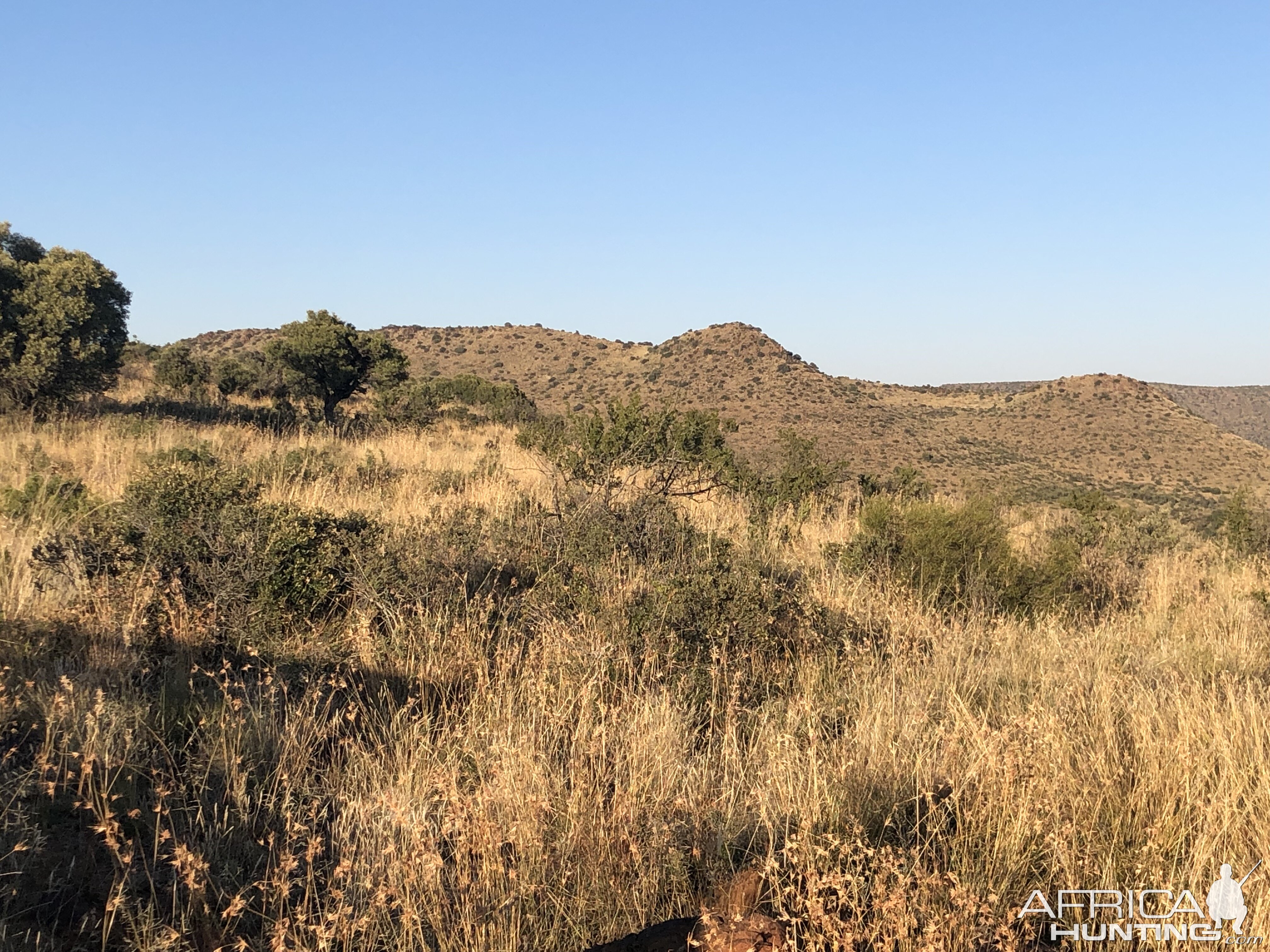 Hunting Area in South Africa