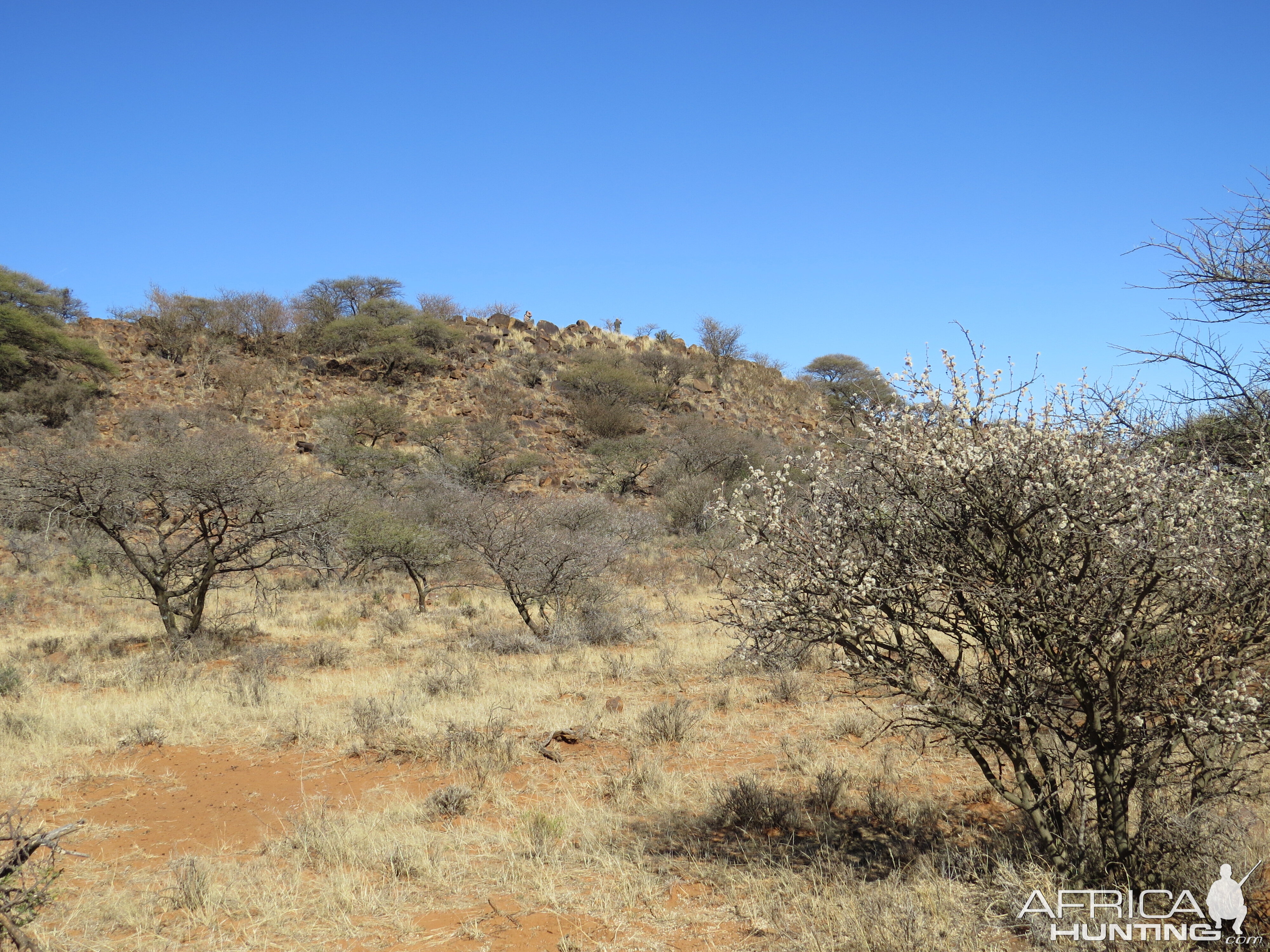 Hunting Area in South Africa