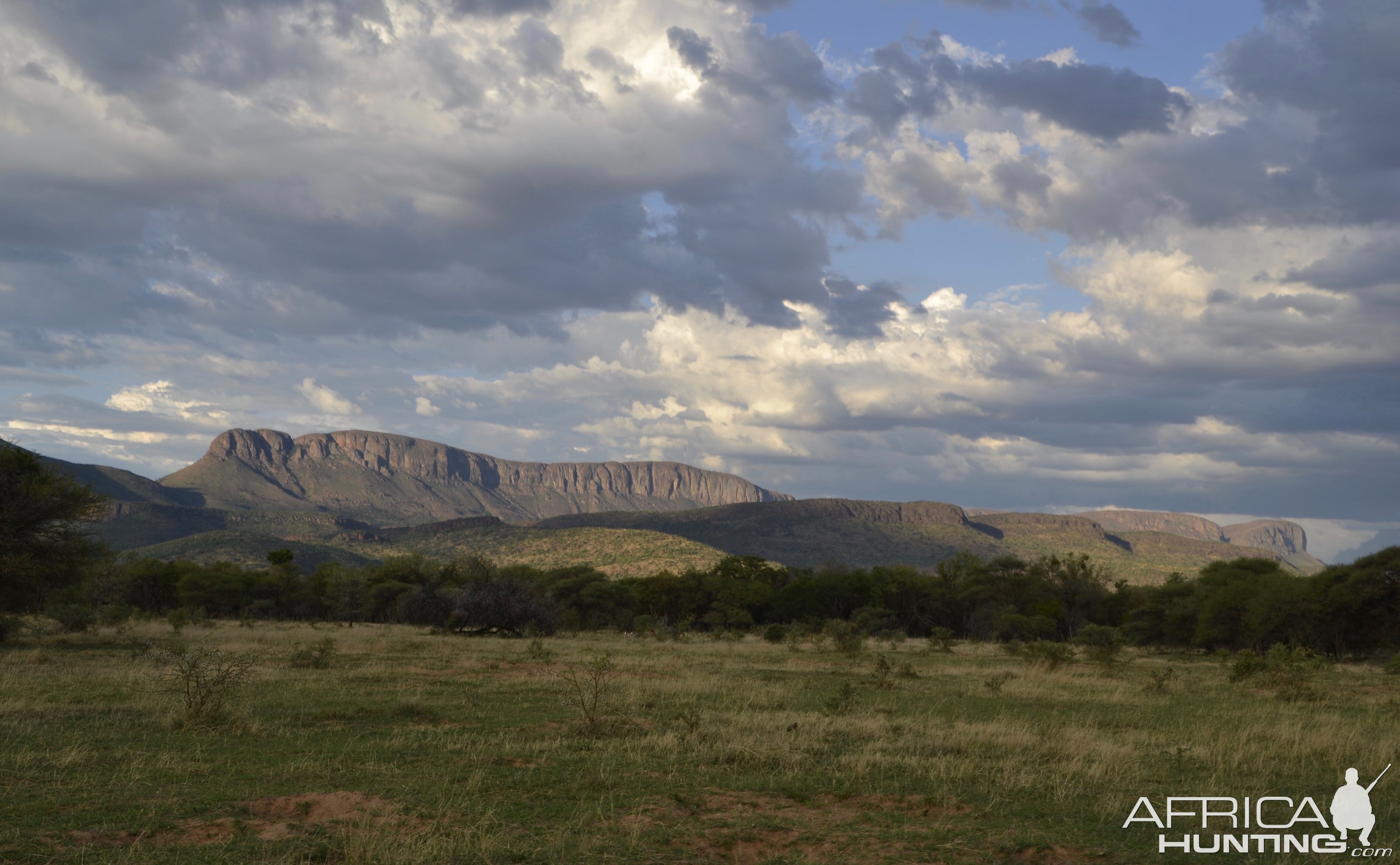 Hunting Area in South Africa