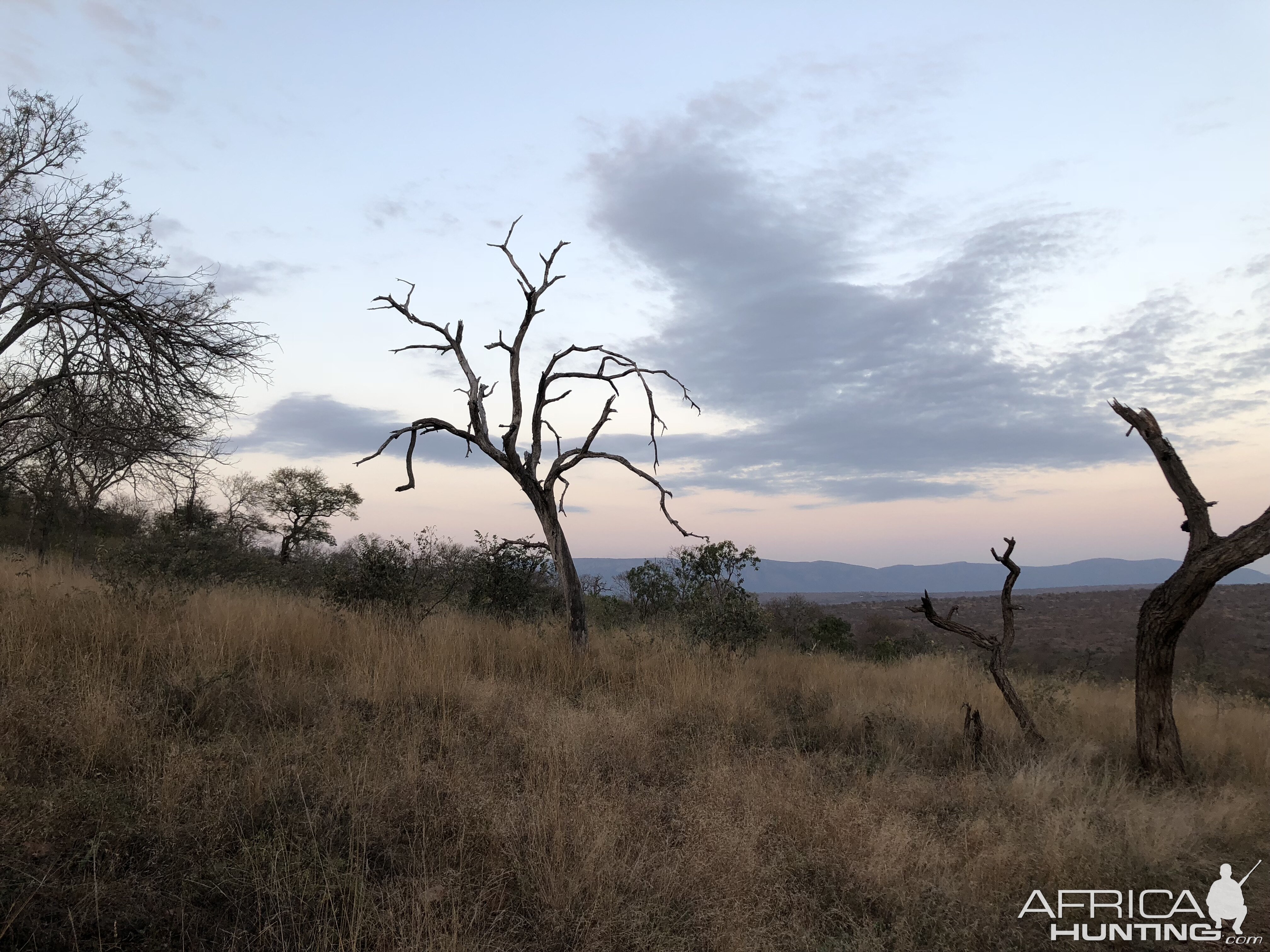 Hunting Area in South Africa