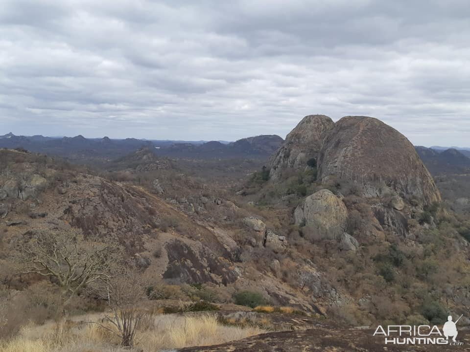 Hunting Area in Zimbabwe