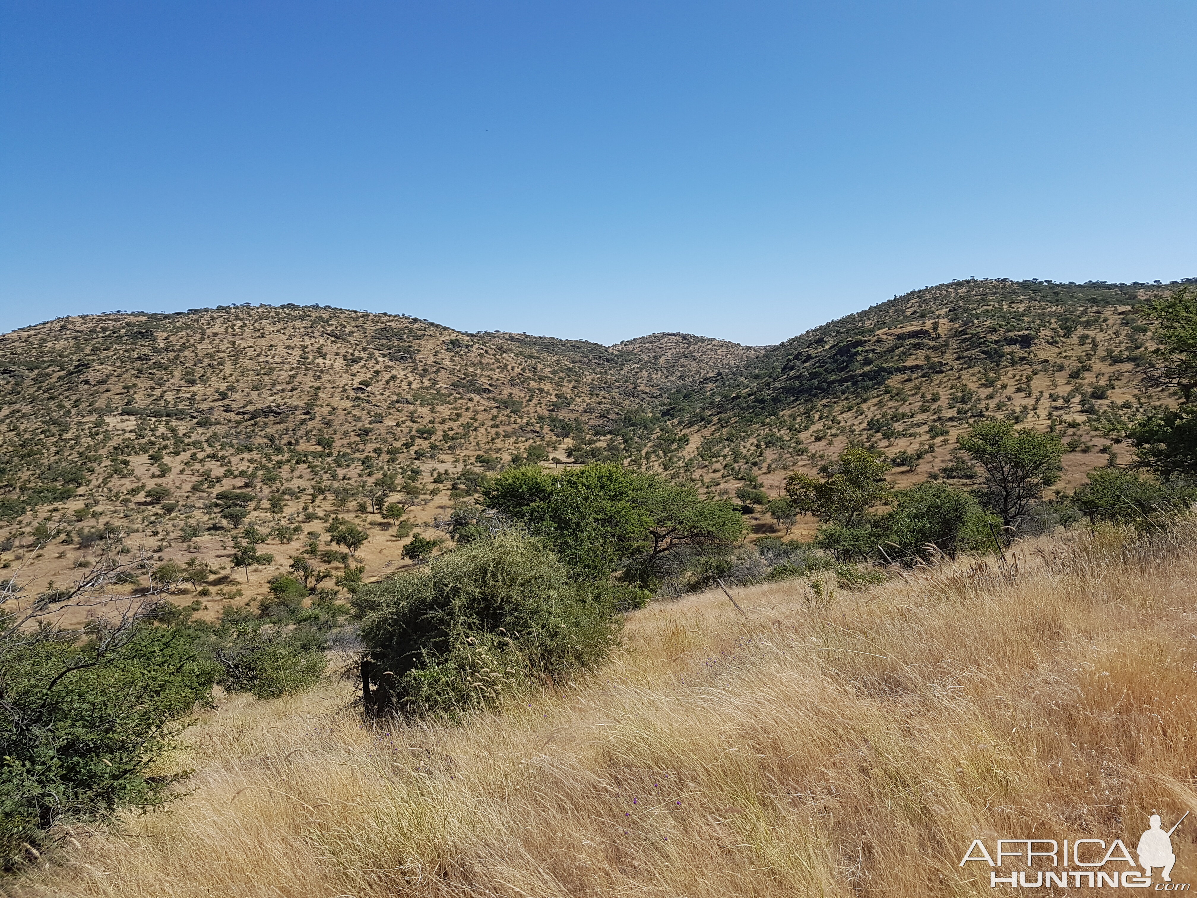 Hunting Area Namibia