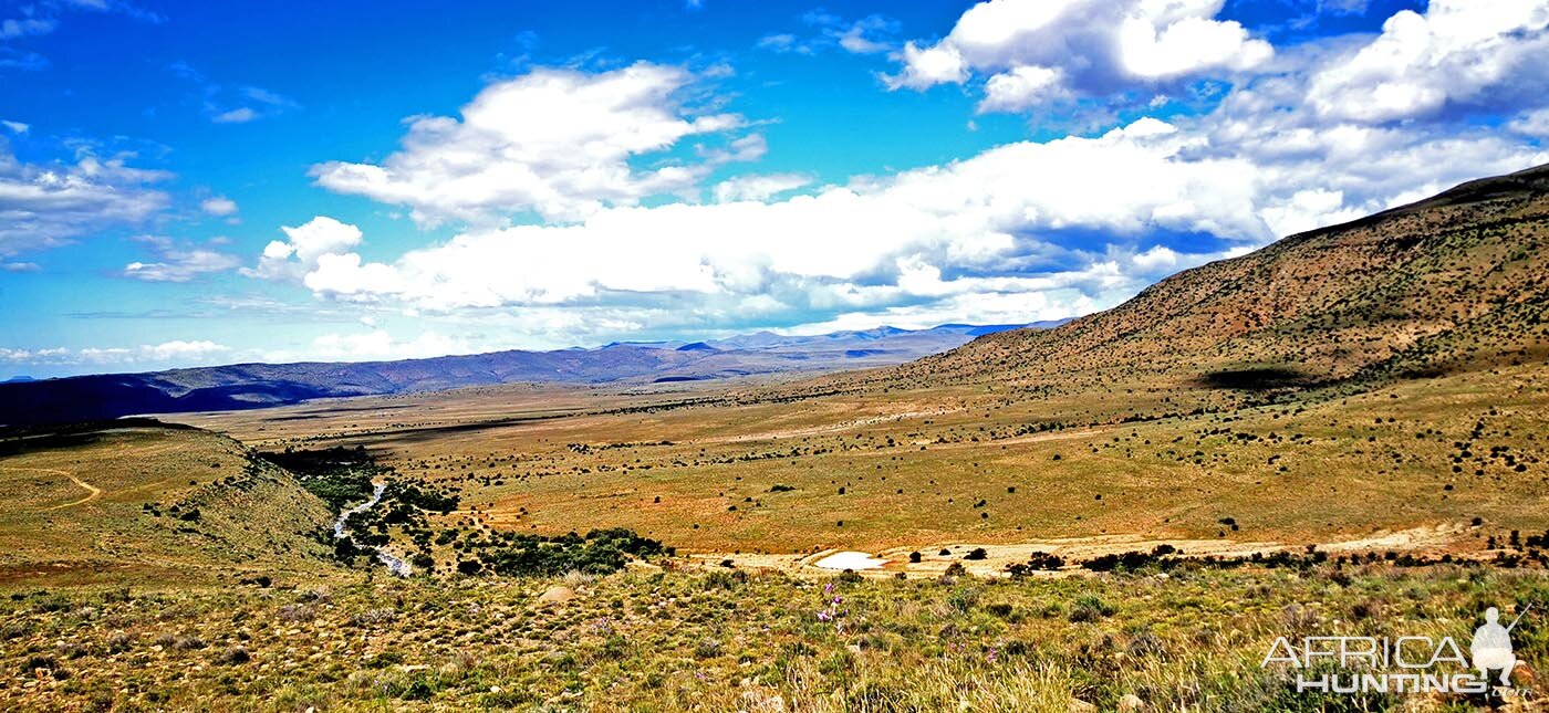 Hunting Area South Africa