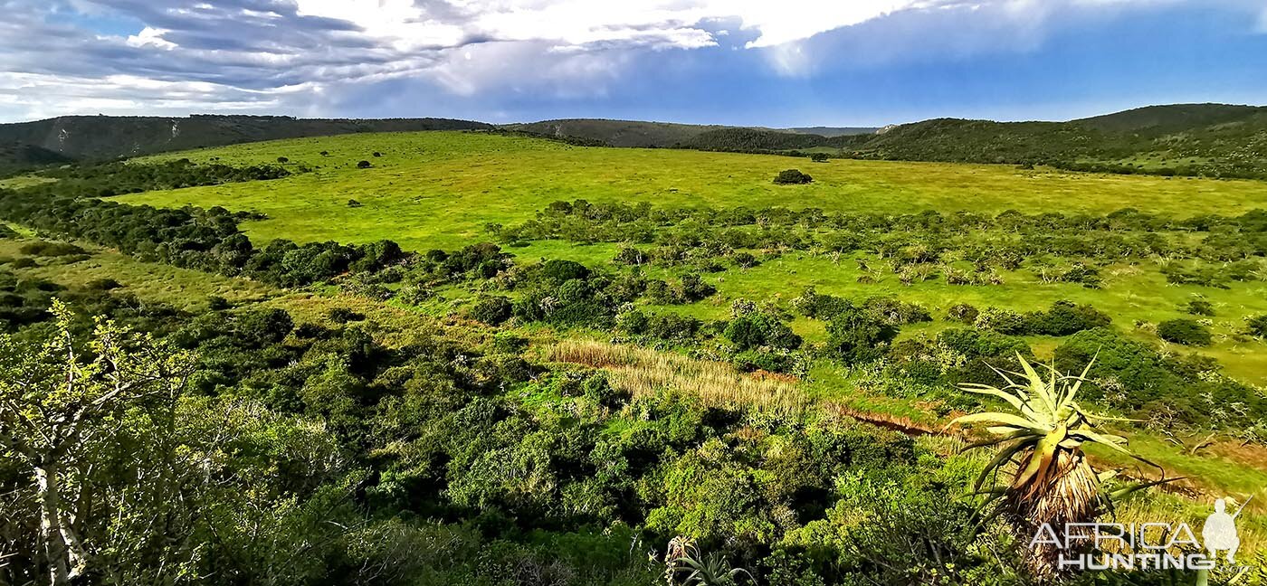 Hunting Area South Africa