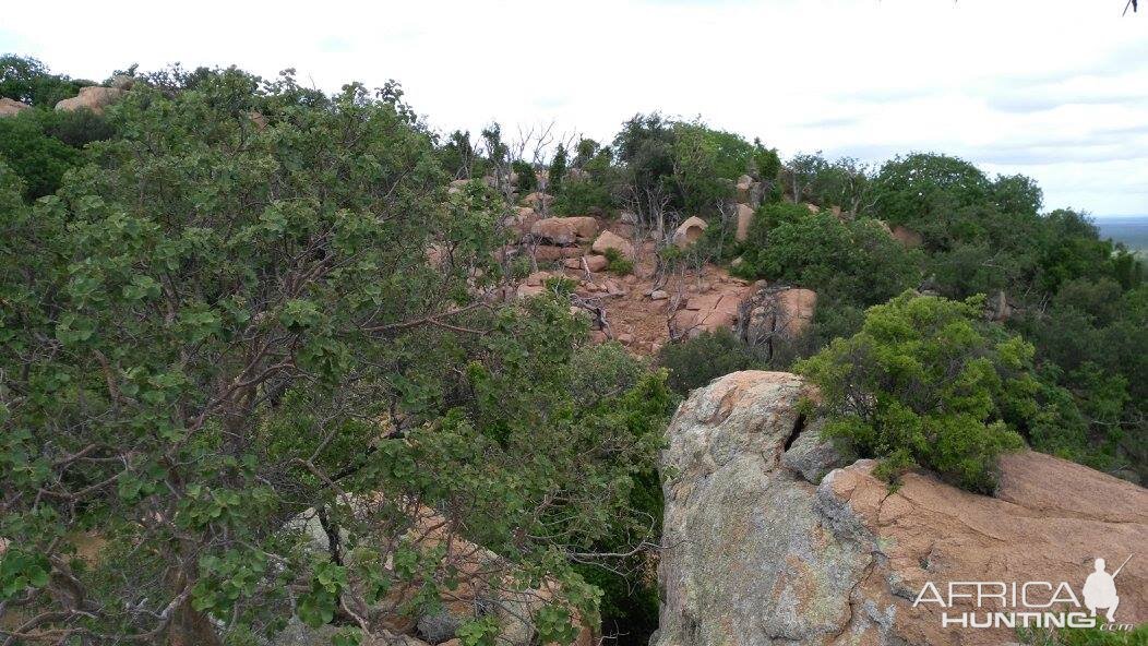 Hunting Area South Africa