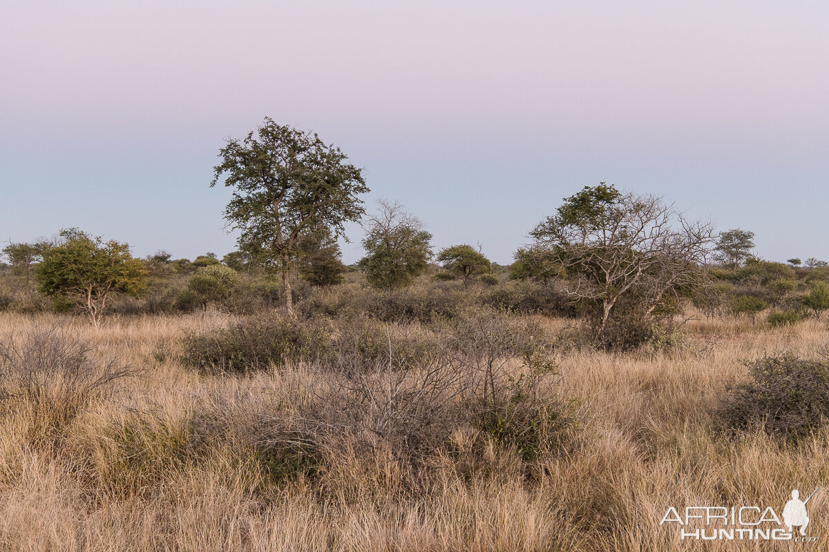 Hunting Area South Africa