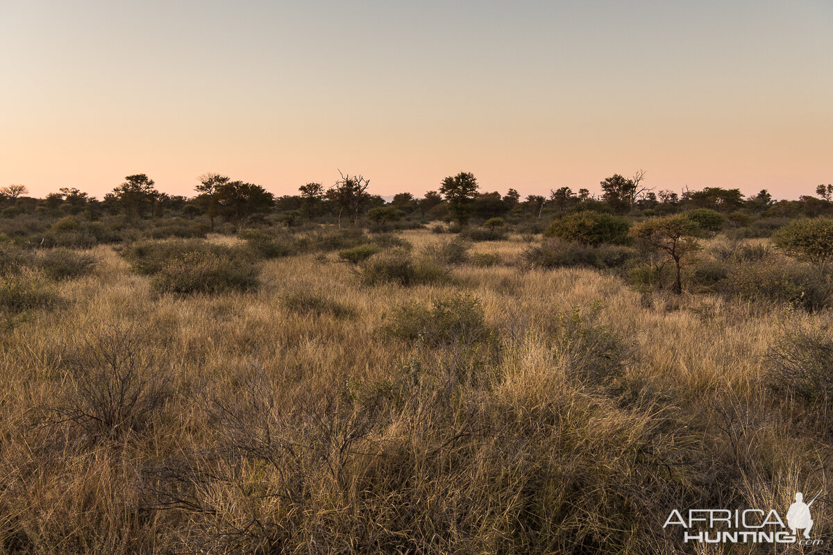 Hunting Area South Africa