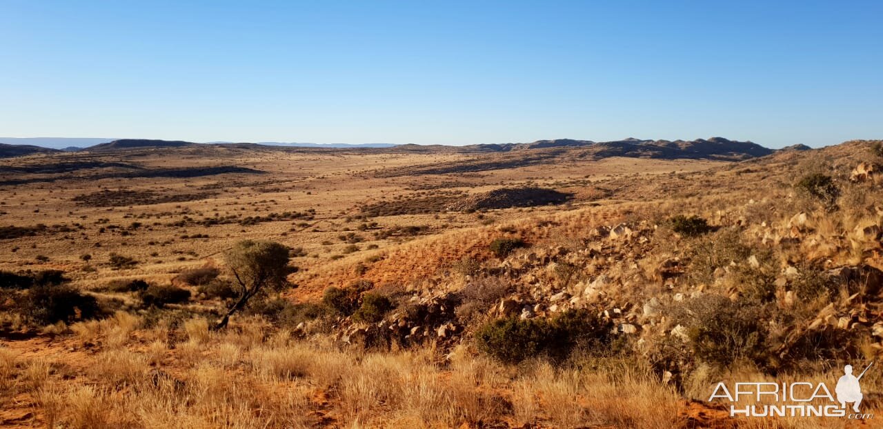 Hunting Area South Africa