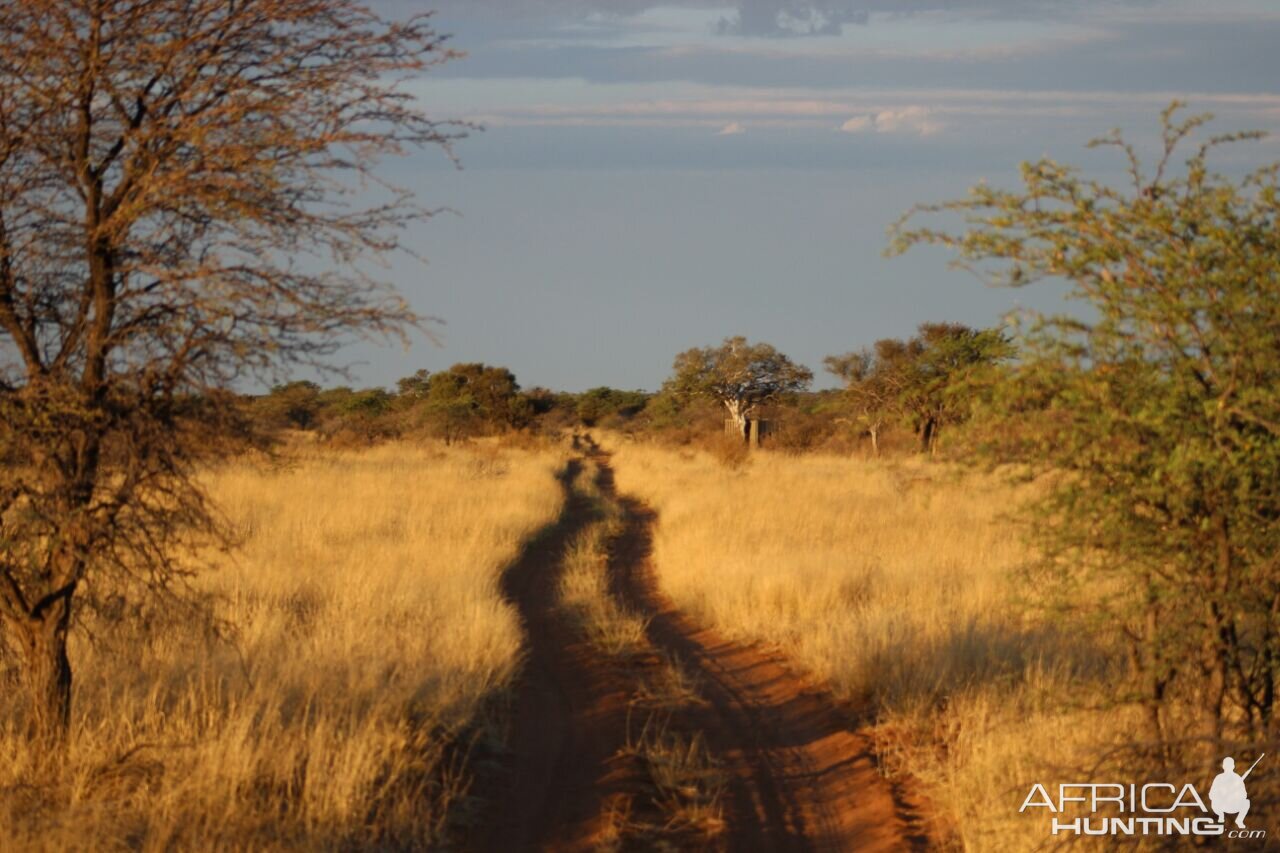 Hunting Area South Africa