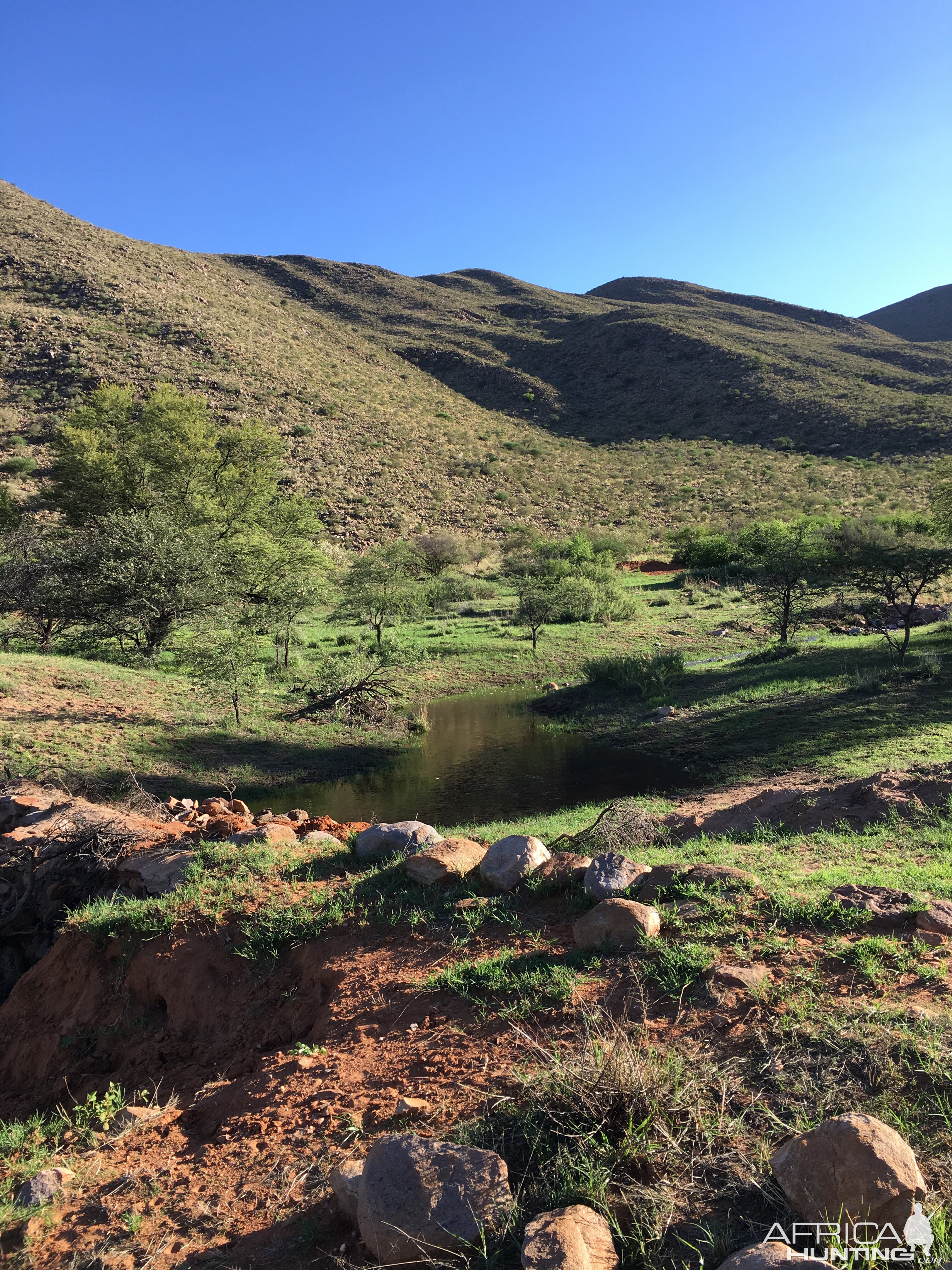 Hunting Area South Africa