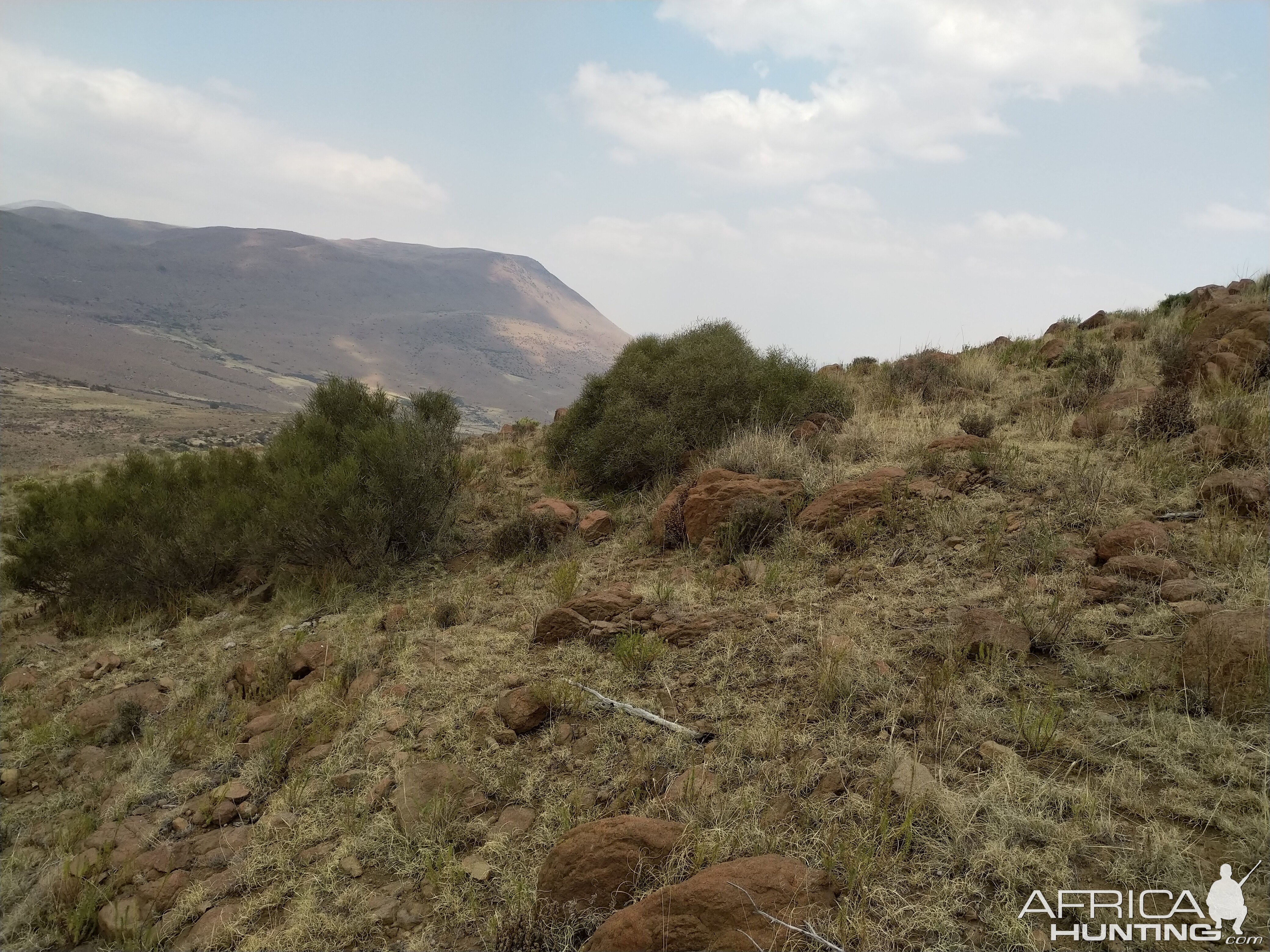 Hunting Area South Africa