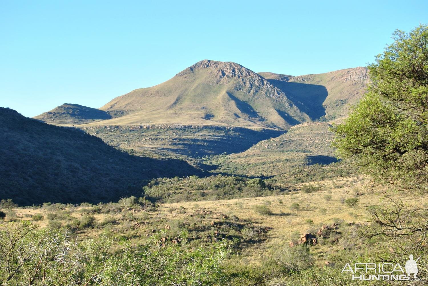 Hunting Area South Africa