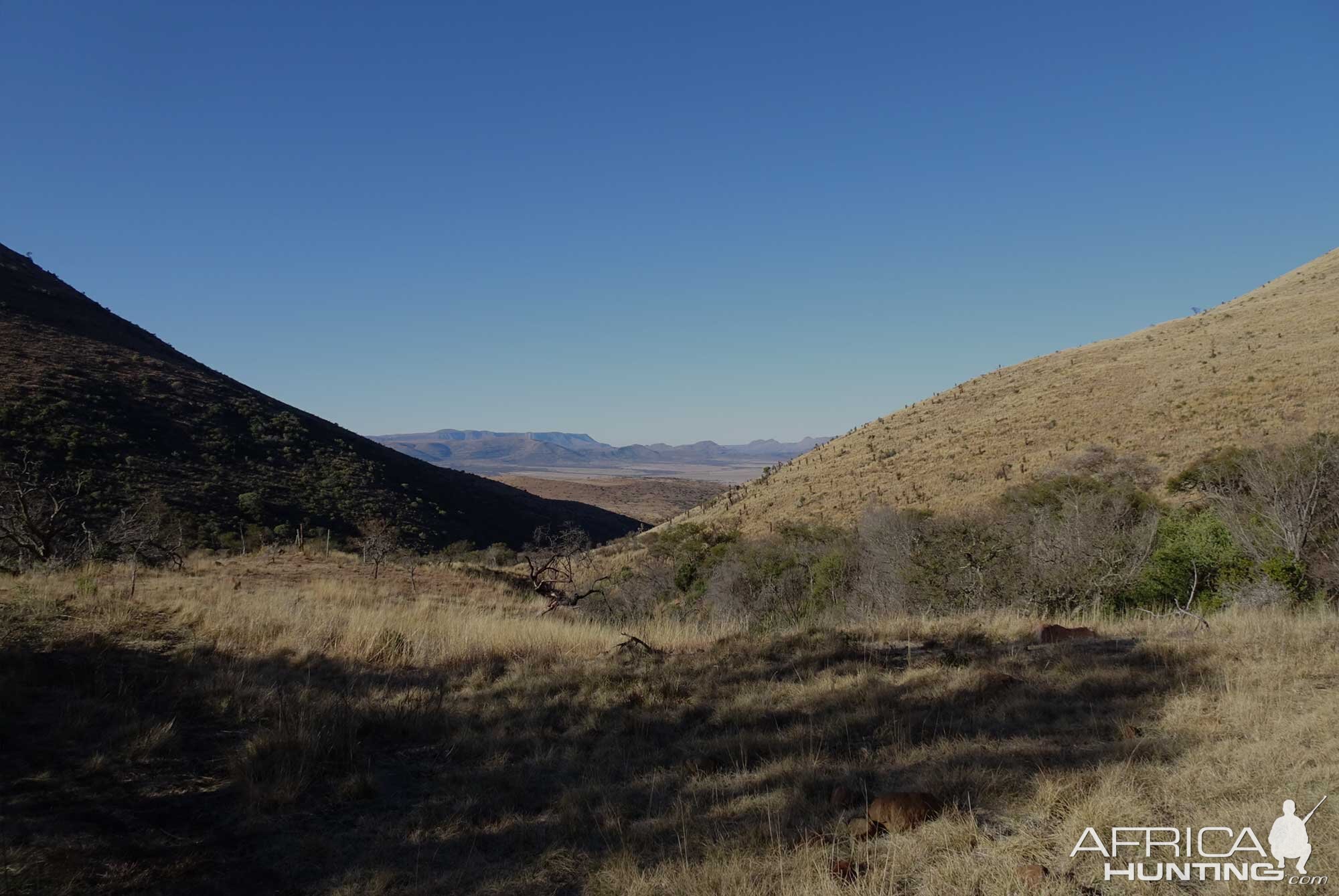 Hunting Area South Africa