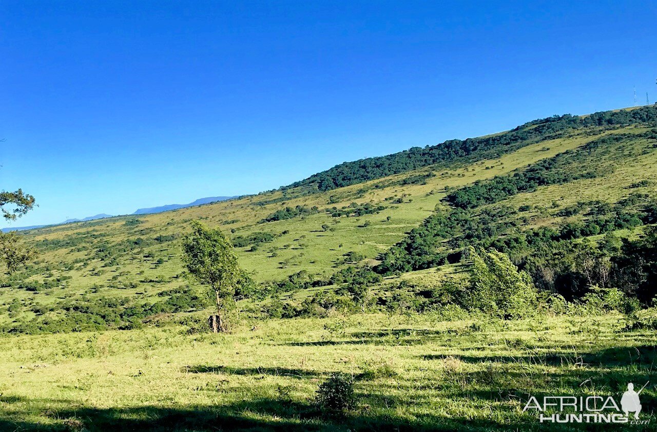 Hunting Area South Africa