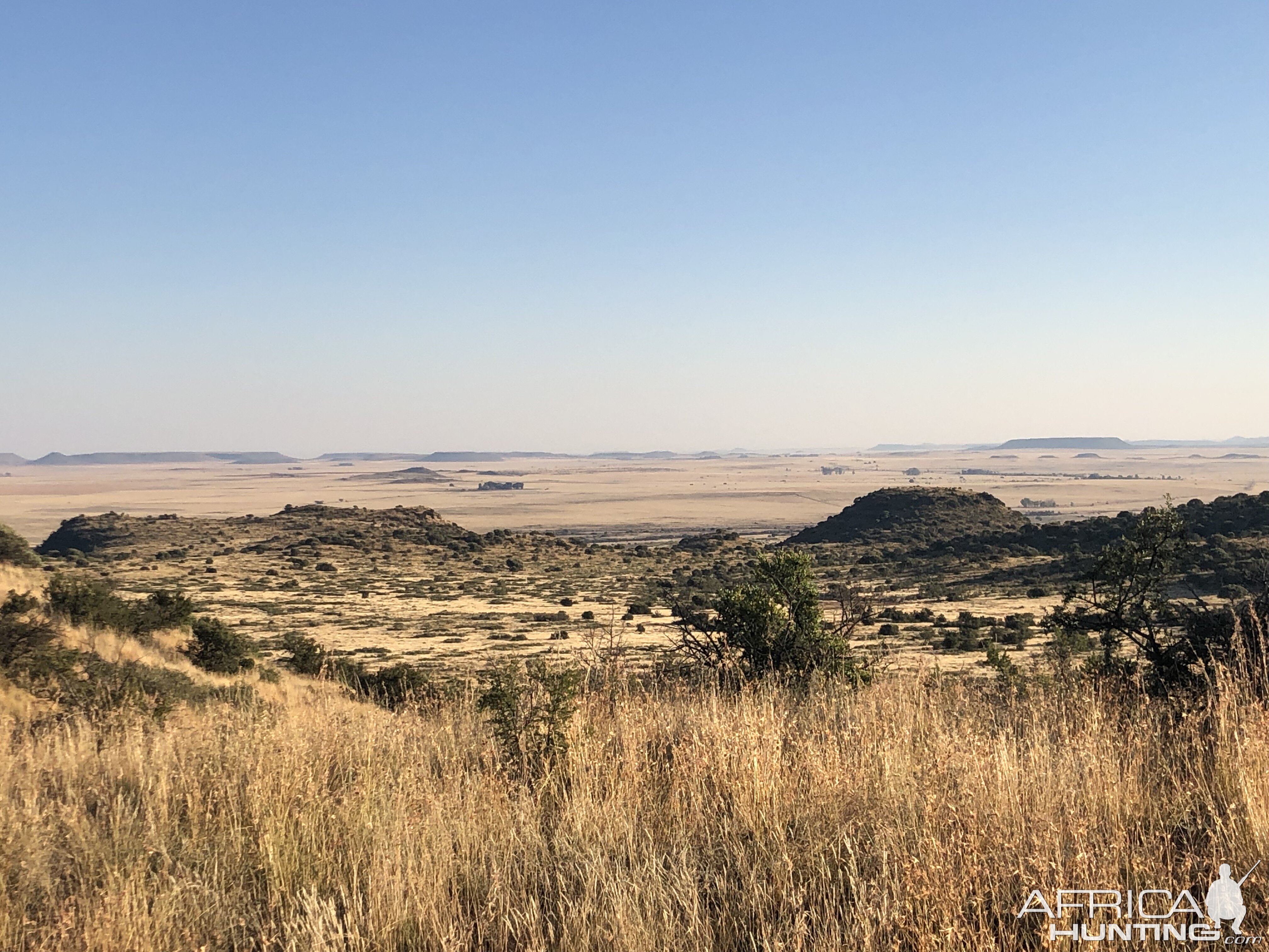 Hunting Area South Africa