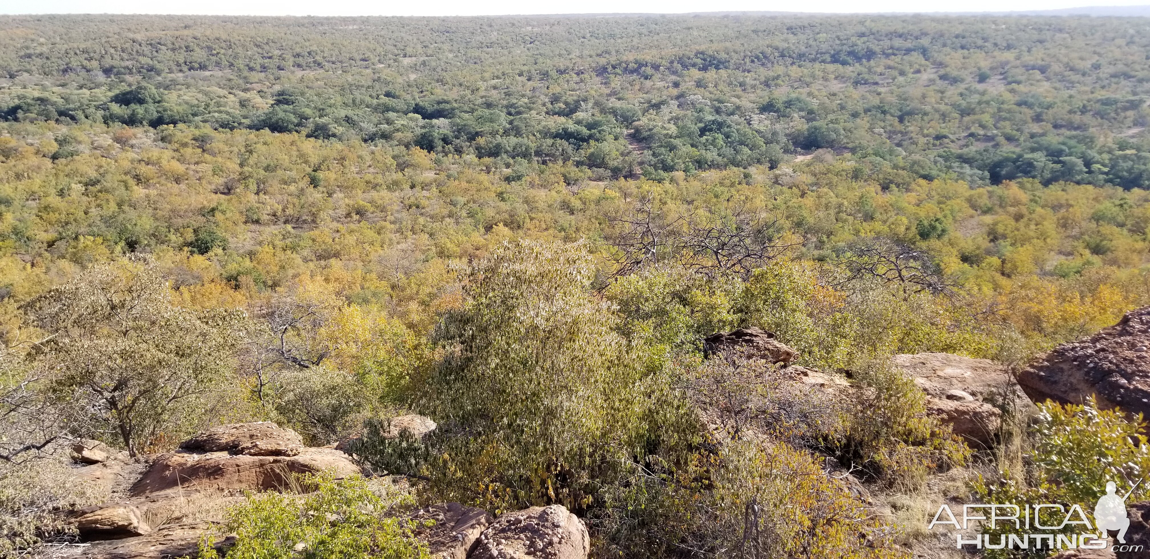 Hunting Area South Africa