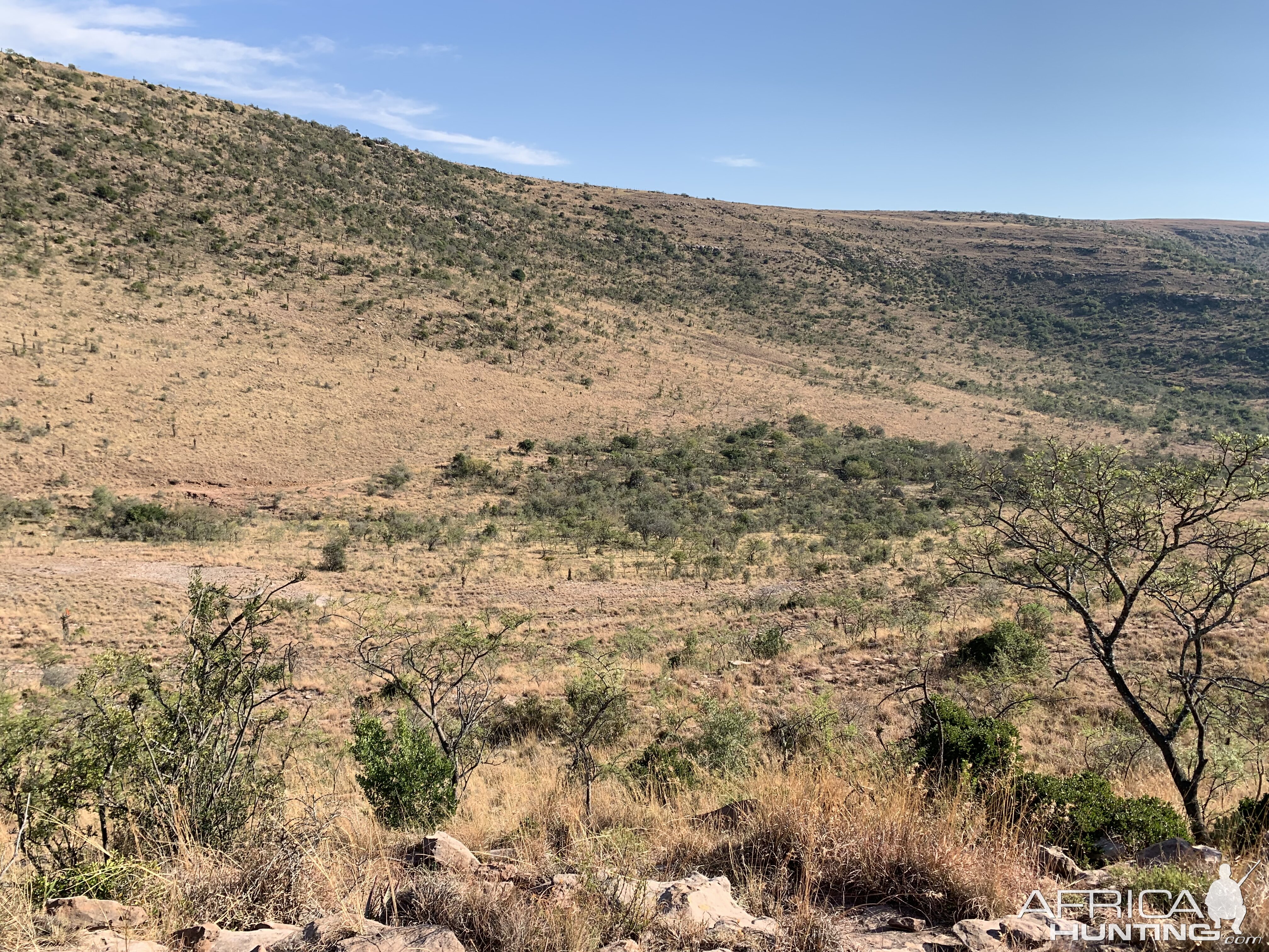 Hunting Area South Africa